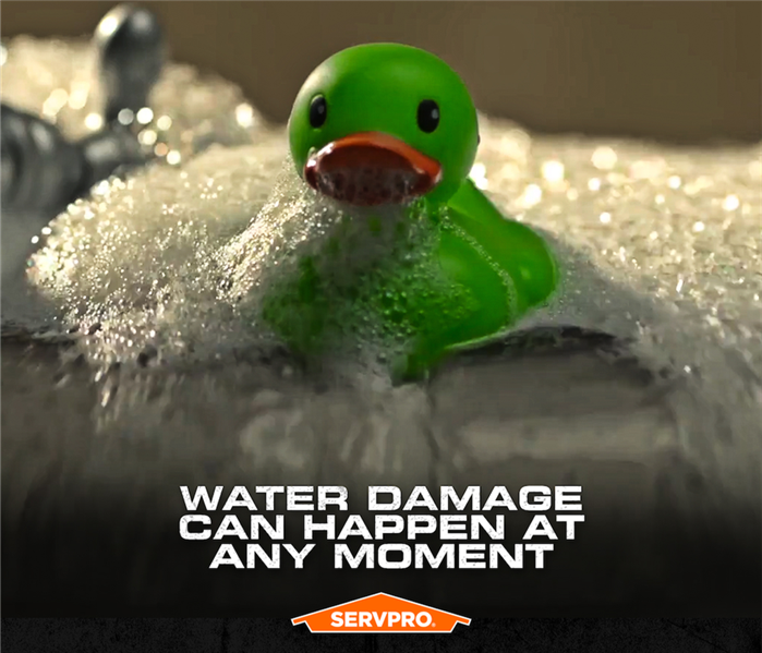 green duck in soapy water with the caption "water damage can happen at any moment"