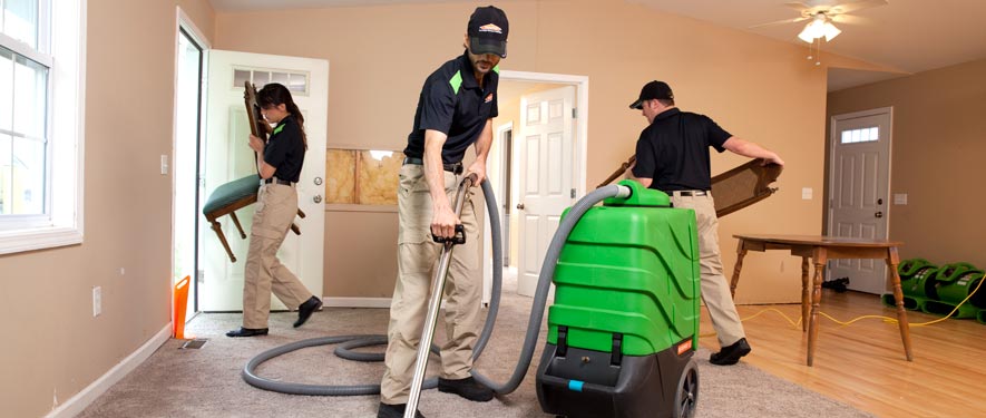 Plantation, FL cleaning services